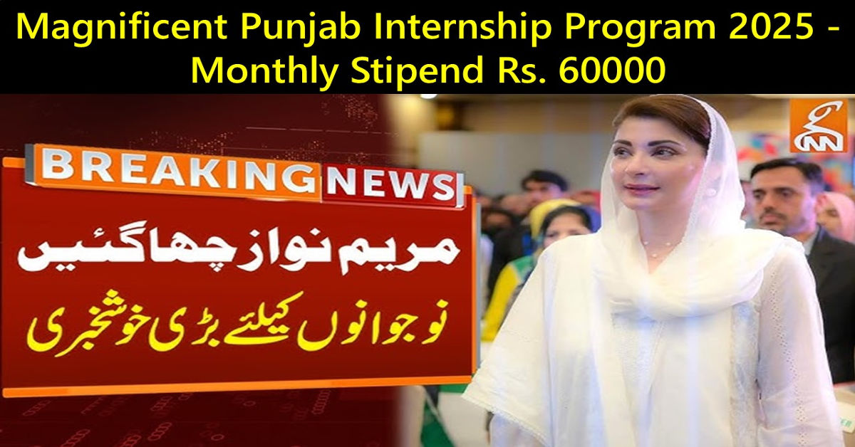 Magnificent Punjab Internship Program 2025