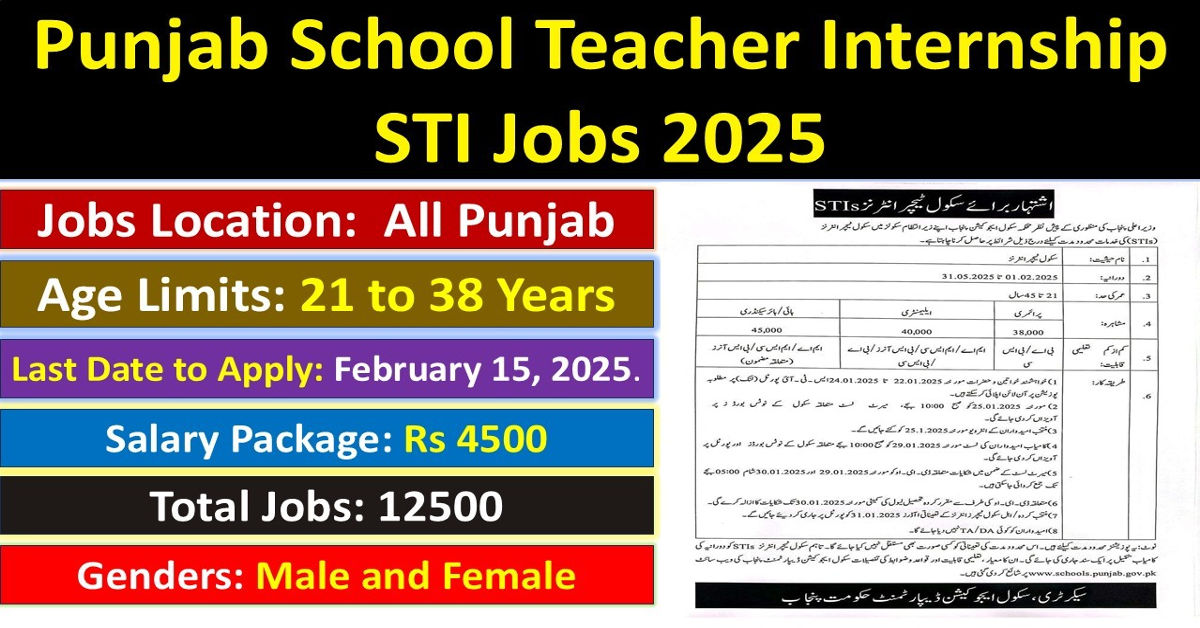 12500 Jobs School Teacher Interns STI Jobs 2025 in Punjab Govt School