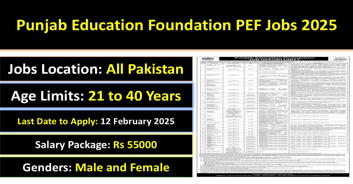 Punjab Education Foundation PEF Jobs 2025